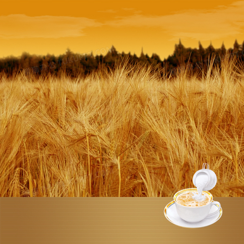 稻田麥子燕麥片PSD分層主圖背景素材 廣告制作的創(chuàng)意基石