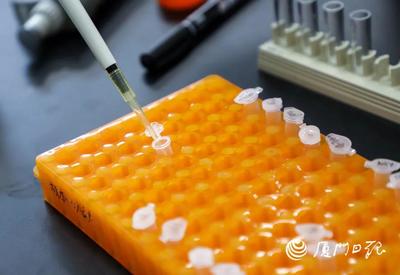 廈大校友扎根鷺島，生物化工創新成果閃耀全球