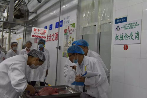 技能競技展風采，科技賦能促發展——全國農業行業職業技能大賽動物檢疫檢驗員賽項圓滿落幕